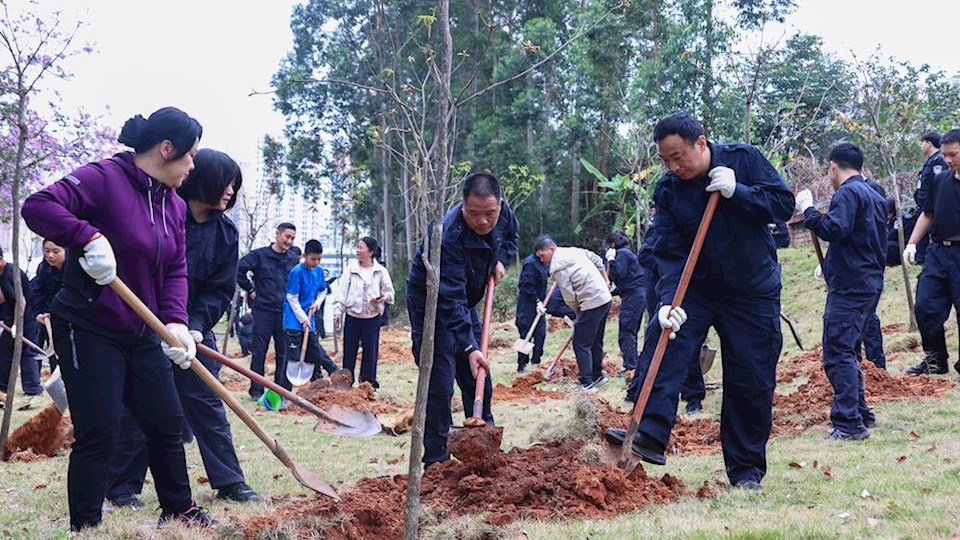 我处参加学校2026年春季师生义务植树活动